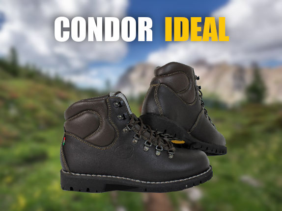 Condor Ideal